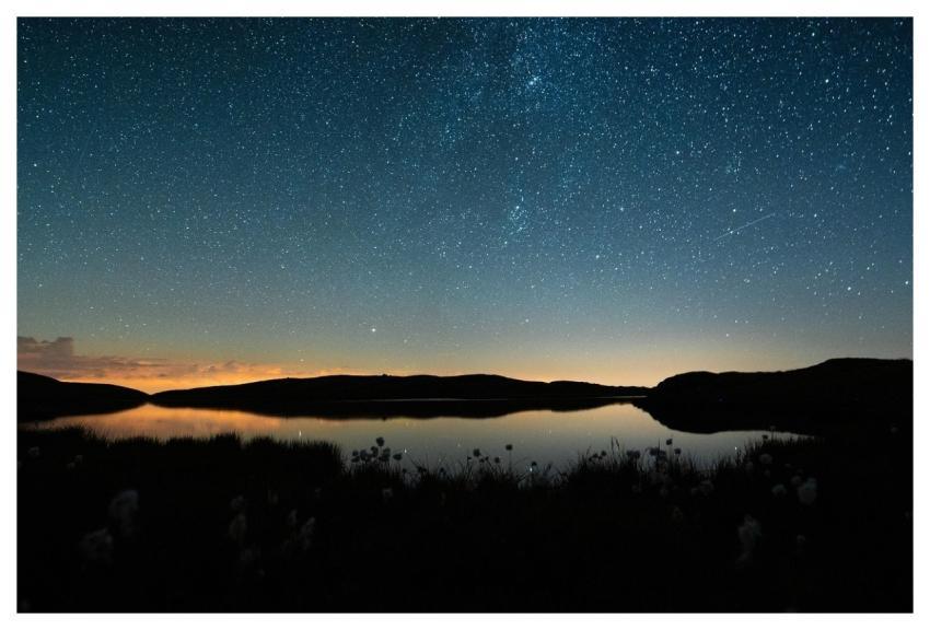 Mountain Sea Forest Night