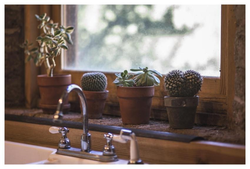 Cactus Kitchen Design Interior