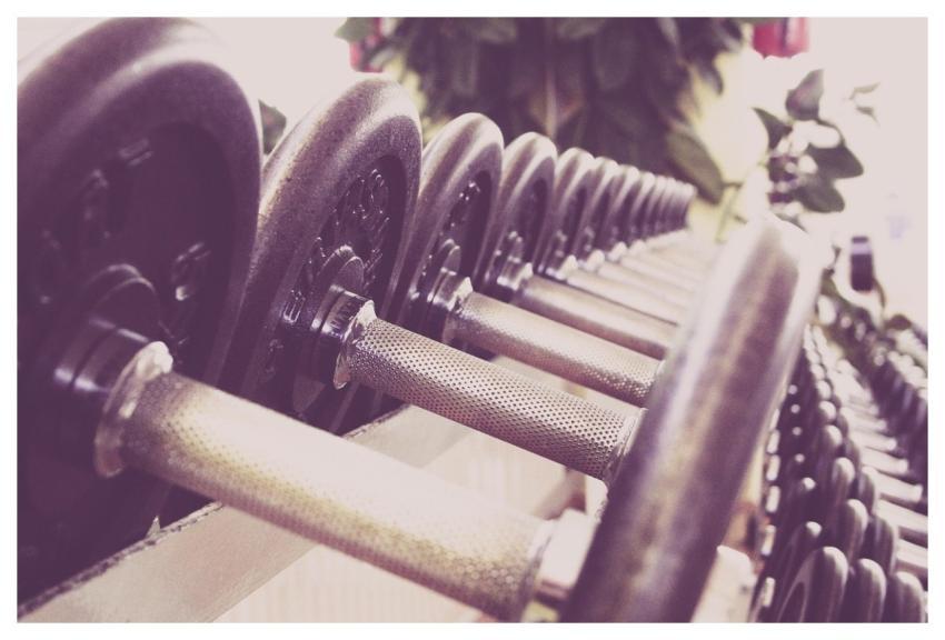 Fitness Dumbbells Training Gym