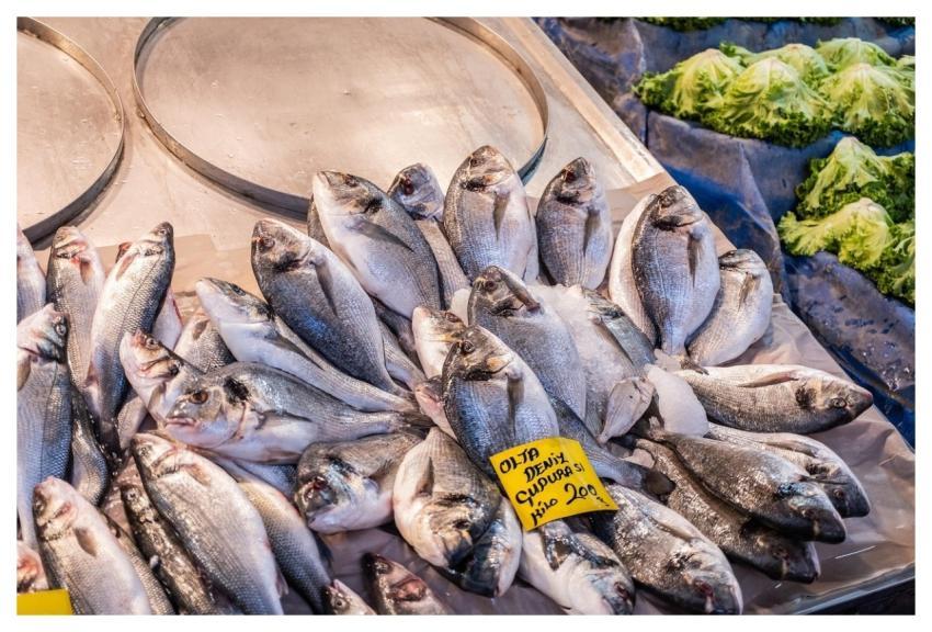 Fish Seller Fishmonger Seller Fish For Sale