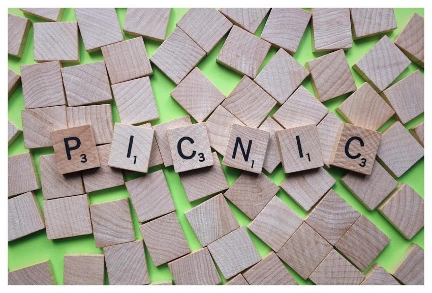 Picnic Outdoors Lunch Lifestyle Leisure