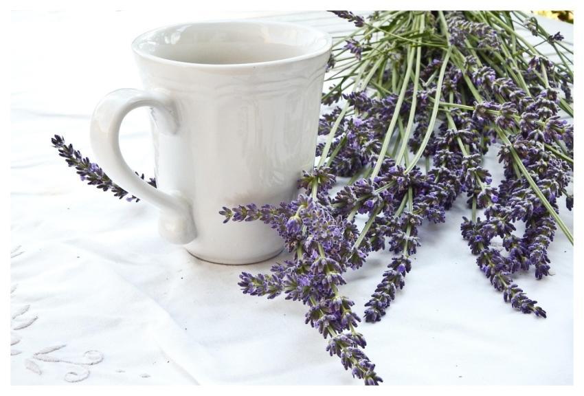Lavender Cup Tablecloth Lifestyle