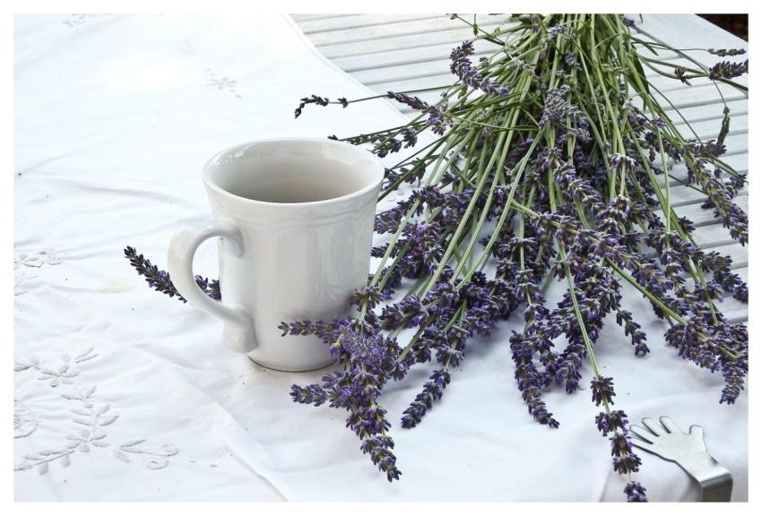 Lavender Cup Tablecloth Lifestyle