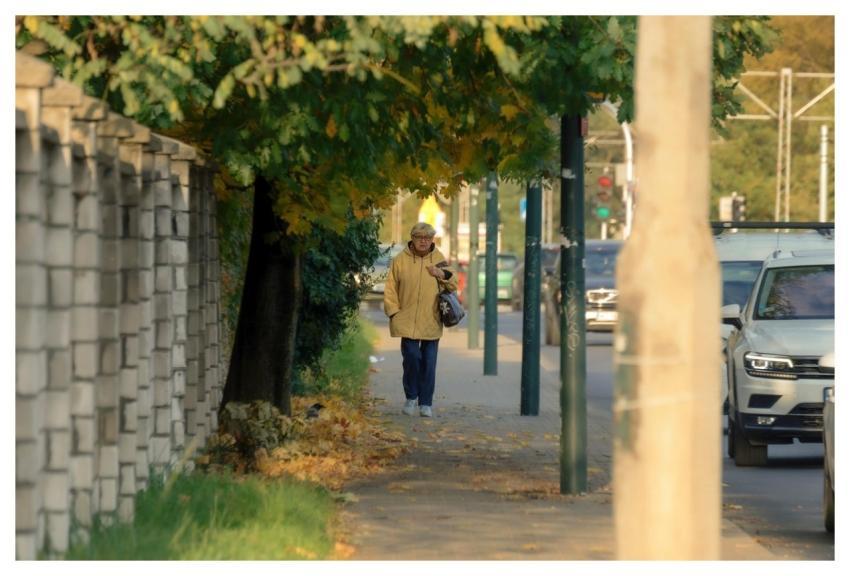 Woman Adult Casual Nature