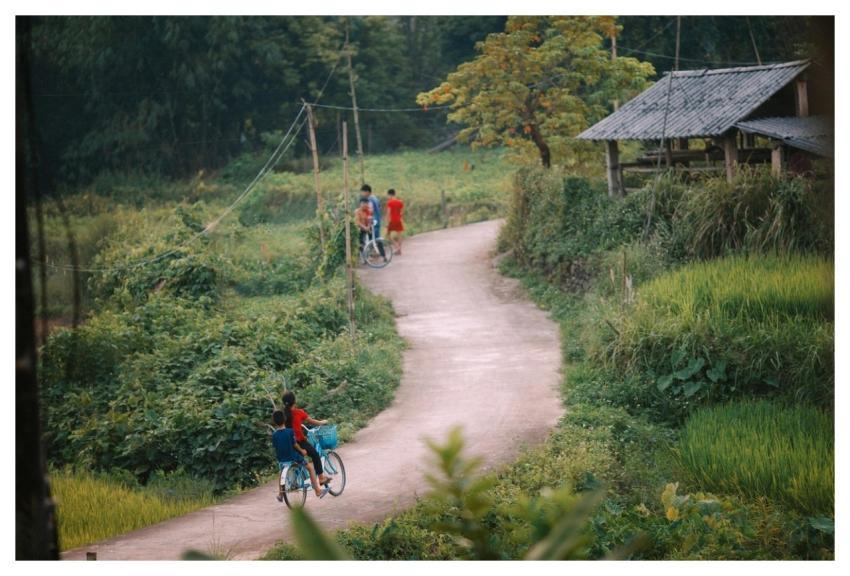 Forest Path Town Nature