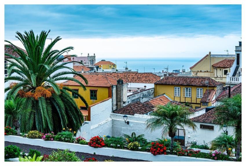 Tenerife People Orotava Palms