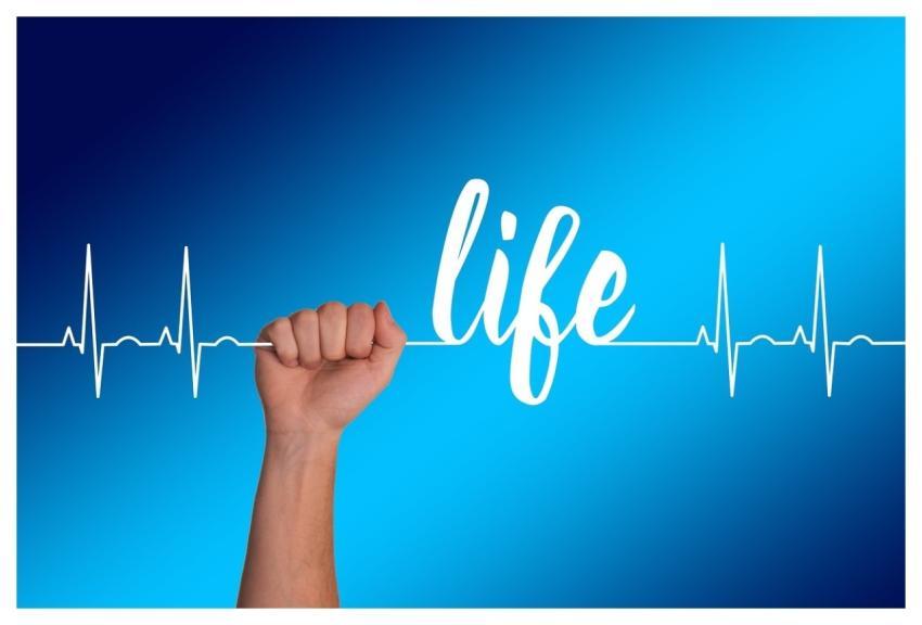 Heart Curve Life Thread