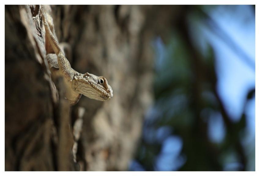 Nature Wilderness Landscape Kamikochi