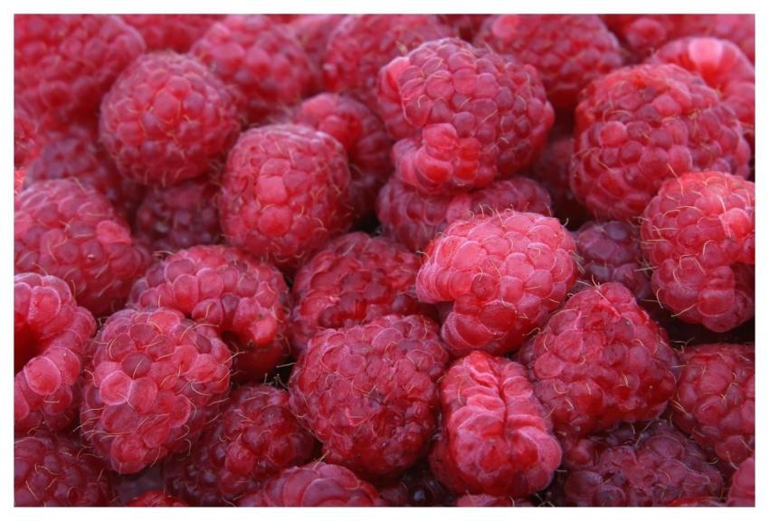 Raspberries Red Fruits Berries