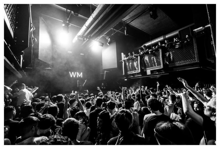 Crowd Audience Concert Event