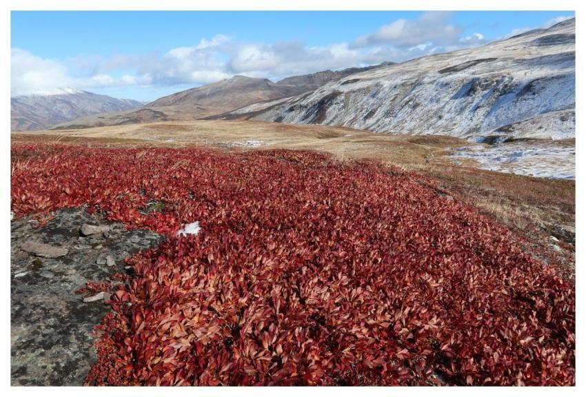 Mountains Autumn Nature Travel