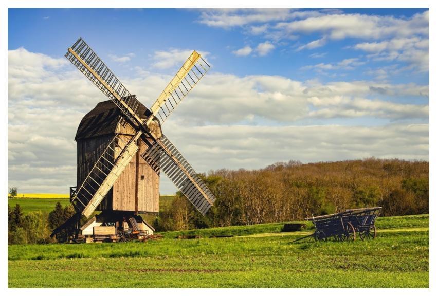 Mill Wooden Structure Greenery Rural