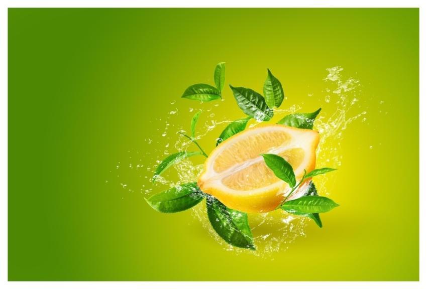 Lemon Leaves Wallpaper 4K Hd Wallpaper