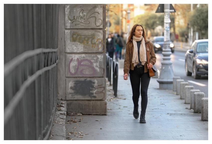 Woman Fashion Purse Earphones