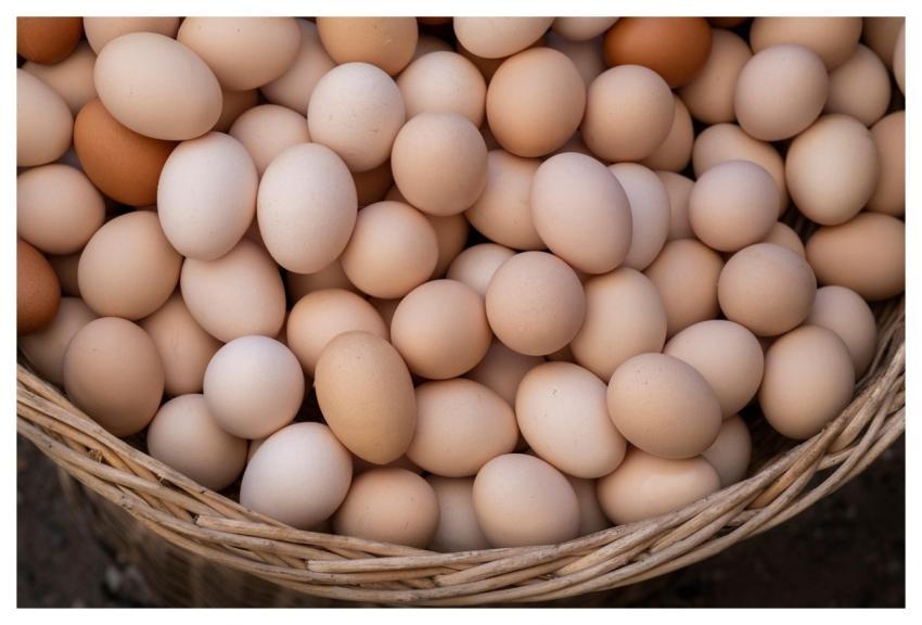 Egg Protein Food Easter