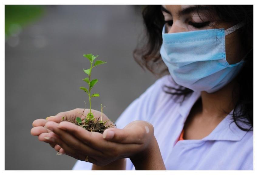Plant Seedling Researcher Hands