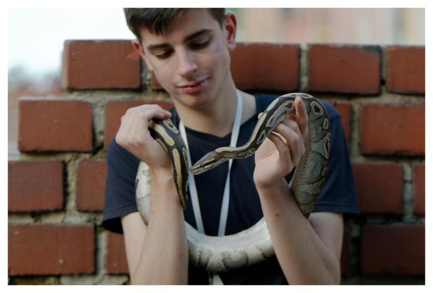 Young Man Snake Pet Reptile