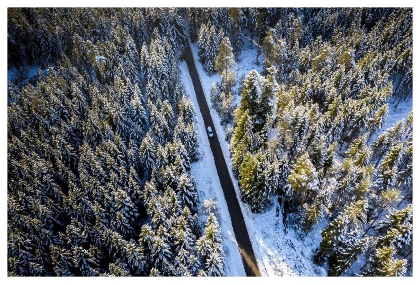 Winter Winter Forest Street Car Wallpapers