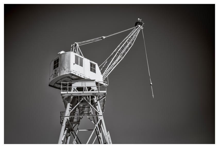 Crane Tower Bird Industry