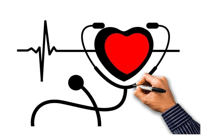 Heart Health Pulse Heart Rate