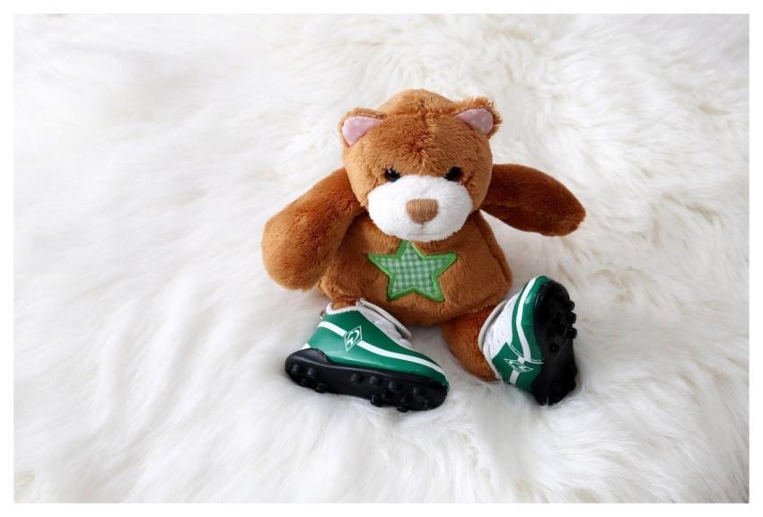 Teddy Bear Teddy Stuffed Animal Sports Shoes