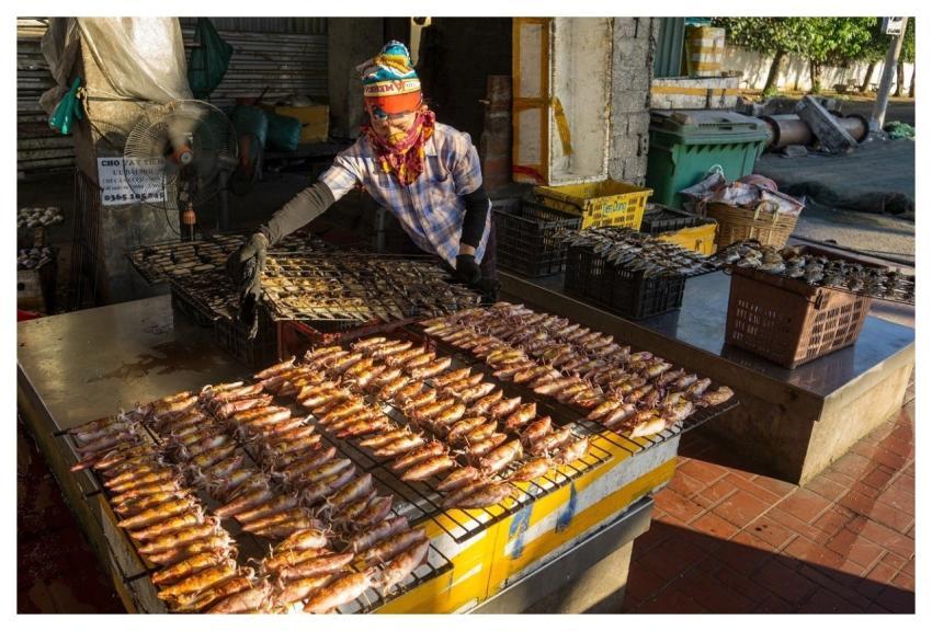 Work Labor Nature Vietnam
