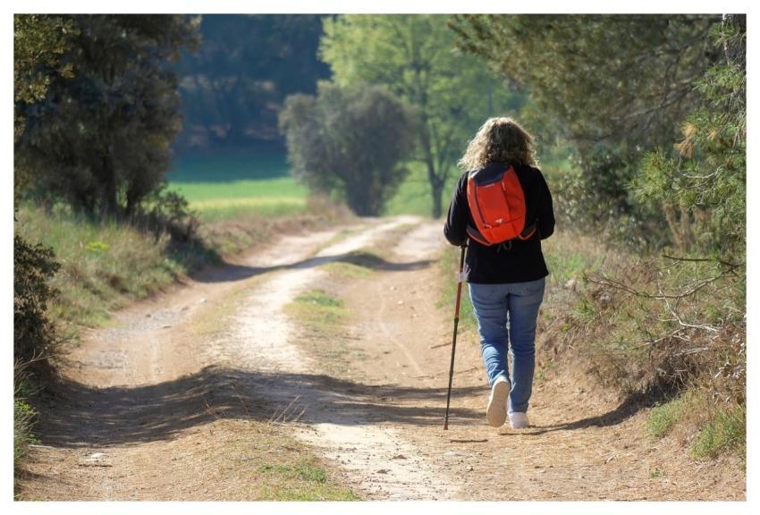 Walking Trekking Hiking Exercise