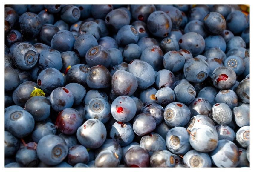 Berries Blueberry Vitamins Health