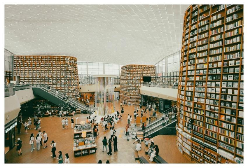 Books Library Bookstore Study