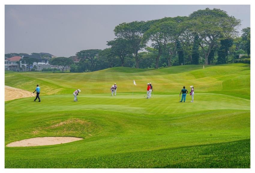 Golf Sport Nature Golfer