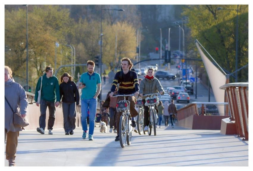 People Pedestrians Cyclists Walking