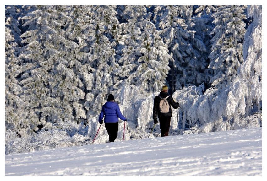 Winter People Stroll Snow
