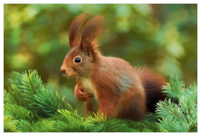 Painting Oil Painting Photo Painting Art