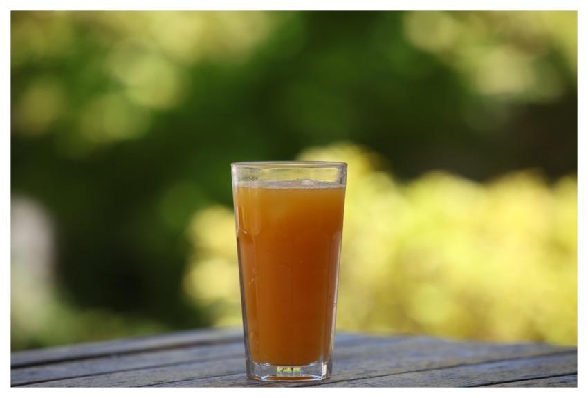 Orange Juice Beverage Drink Glass