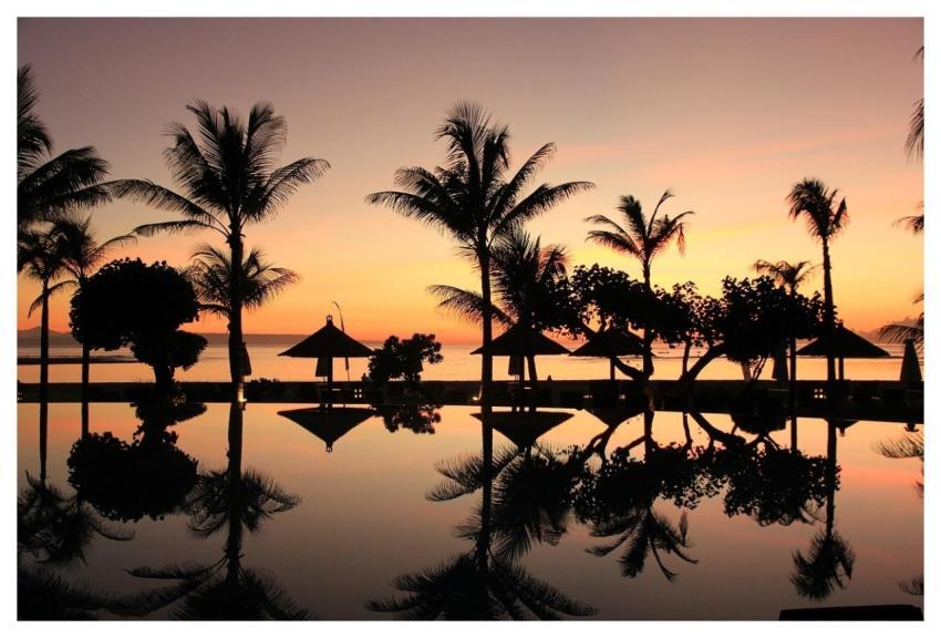 Bali Beautiful Nature Palm Trees Sunset