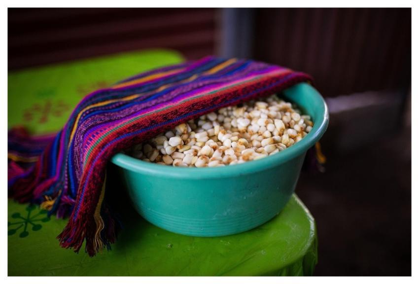 Corn Meal Quesadilla Grain