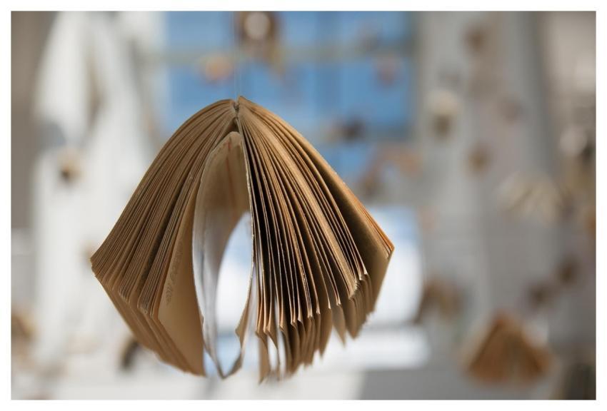 Books Book Exposure Composition