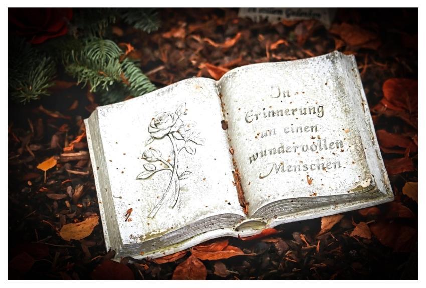 Dig A Book Sculpture Art