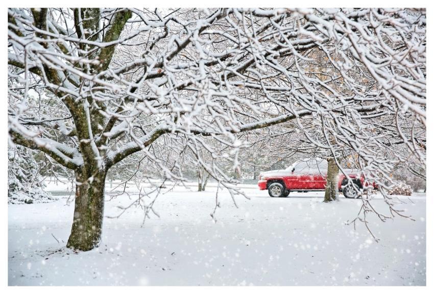Truck Snow Winter Nature