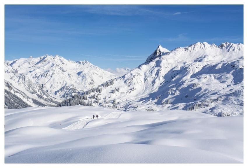 Nature Winter Snow Ski