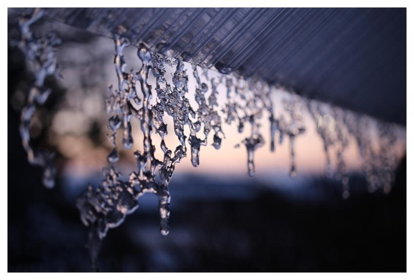 Icicle Winter Nature Snow
