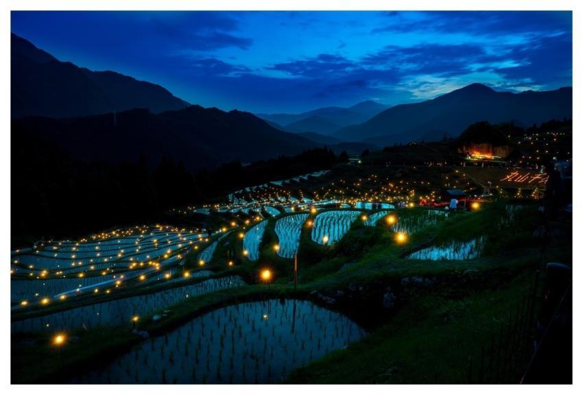 Rice Terraces Rice Paddies Farm Agriculture