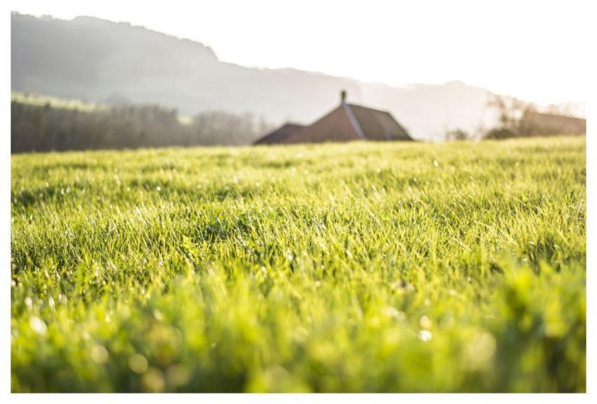 Spring Nature Wallpaper Cool Backgrounds Beautiful