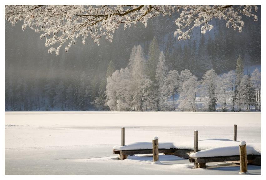 Winter Season Nature Outdoors