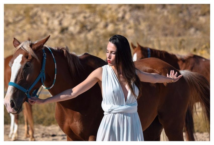 Nature Wood Horse Landscape
