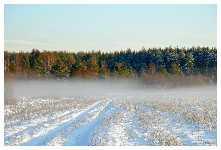 Field Forest Sky Winter