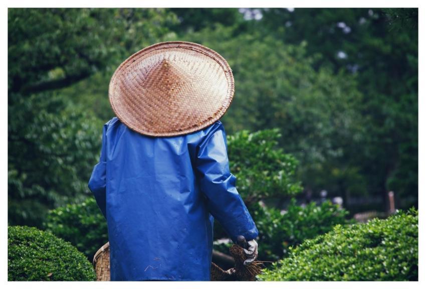 Yard Nature Park Gardener