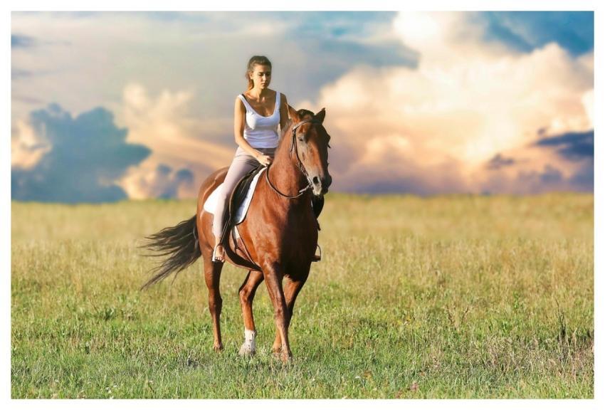 Woman Horseback Riding Field Horse