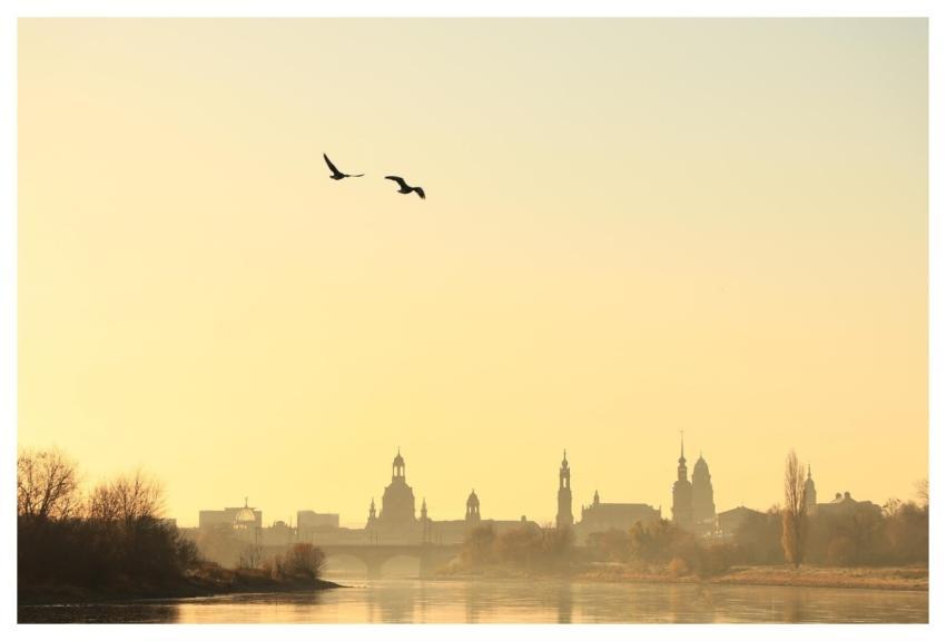 Dresden Morning Dawn Nature