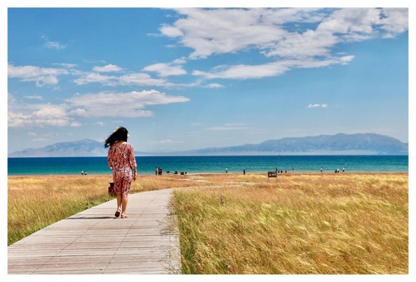 Lake Pathway Field Meadow
